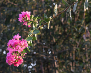 紫微斗数十四主星里最随和的他，翻脸比谁都绝情