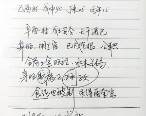 副县职，儿子残疾  乾：丁巳 庚戌 辛酉  己亥