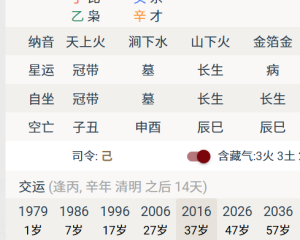 假从格没学历,煞运出事 乾:己未 丁丑 丁酉 癸卯