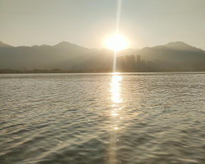 年入400万 男命:1995年闰八月十四 午时