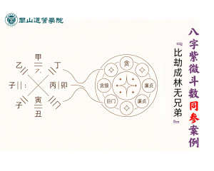 比劫成林无兄弟  八字紫微斗数同参讲解